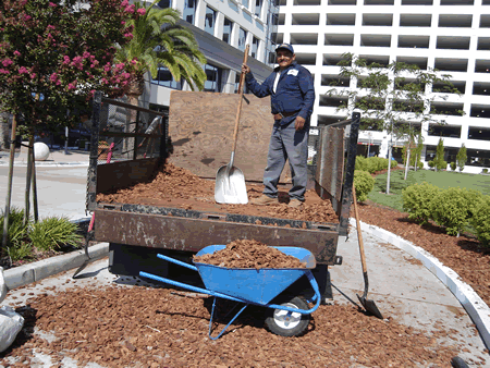 truck unloading mulch